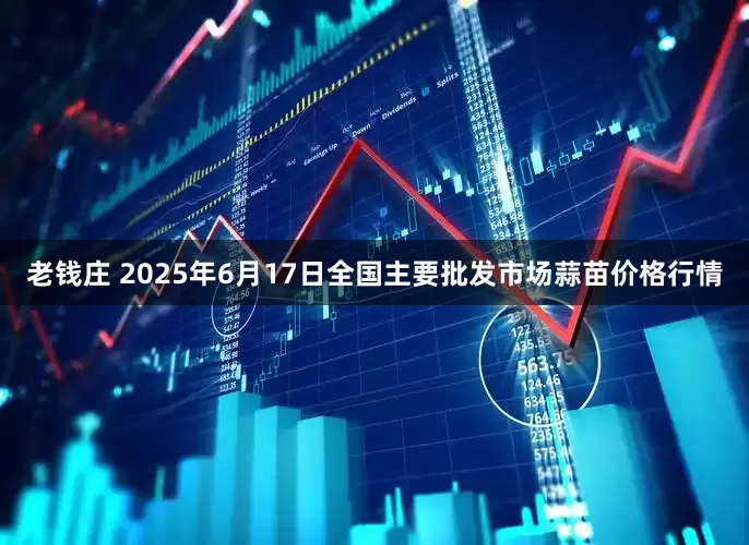 老钱庄 2025年6月17日全国主要批发市场蒜苗价格行情