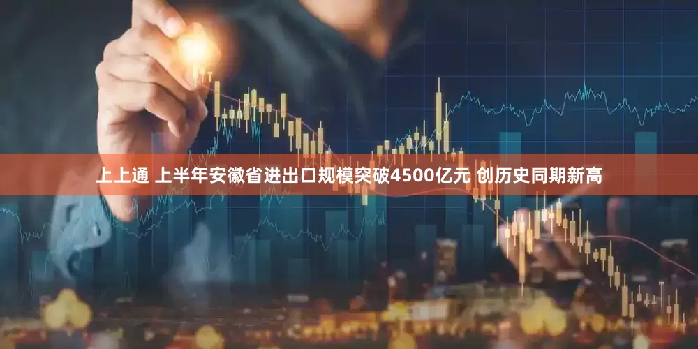 上上通 上半年安徽省进出口规模突破4500亿元 创历史同期新高