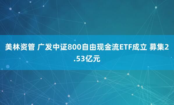 美林资管 广发中证800自由现金流ETF成立 募集2.53亿元