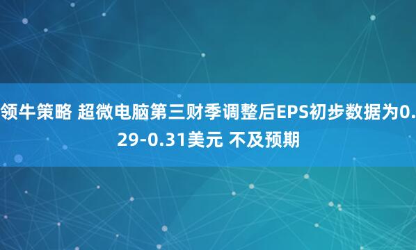 领牛策略 超微电脑第三财季调整后EPS初步数据为0.29-0.31美元 不及预期